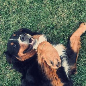 Meet your Posher, Emma